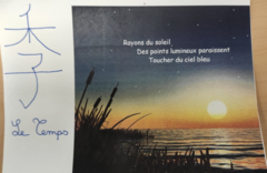Galerie photo 